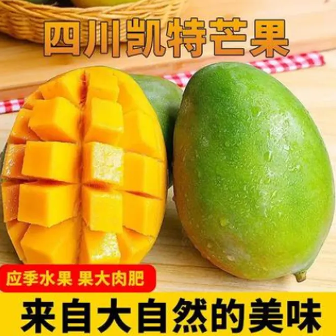 【放软食用】攀枝花凯特芒现摘带箱5斤400g+新鲜(坏果包赔)