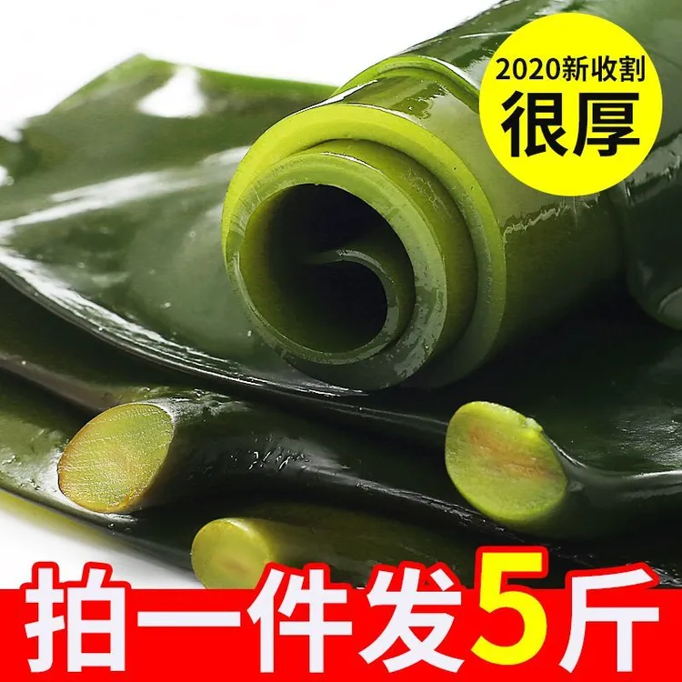 （批发海带头5斤）特厚海带头盐渍农产品厚实营养冷冻凉拌烹饪海洋
