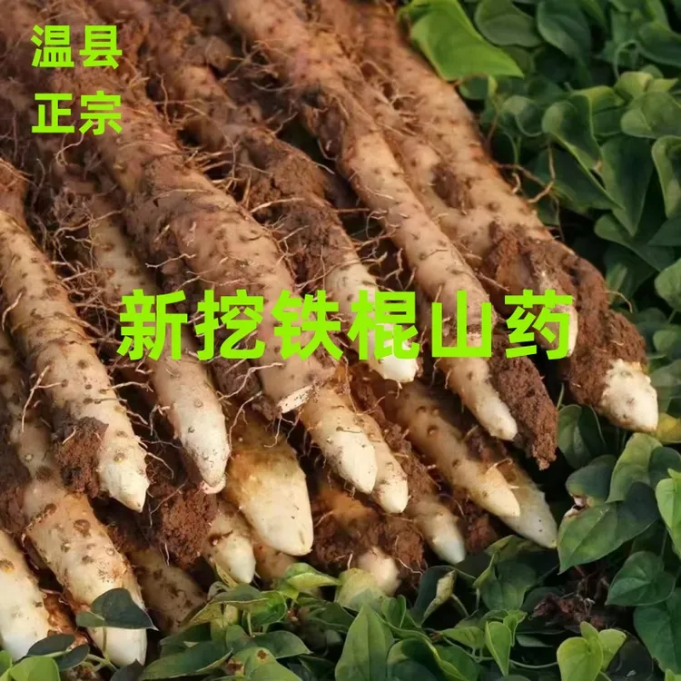 【净重5斤37CM】焦作温县新挖垆土铁棍怀山药温县直发营养农产品Z