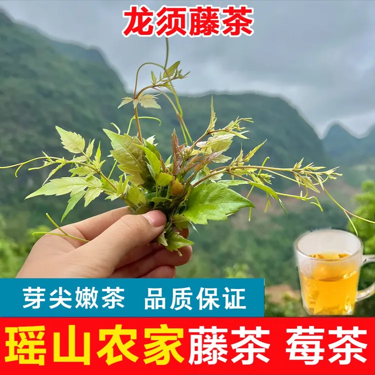 【金叶子藤茶】广西瑶山富硒非恩施藤茶芽尖莓茶溪黄茶龙须500克