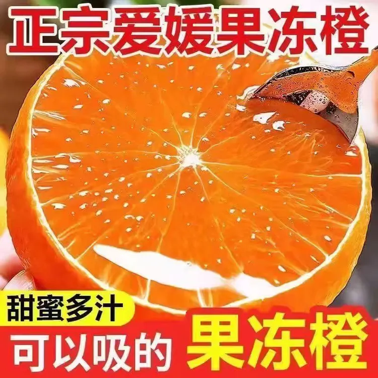 正宗四川爱媛38号果冻橙带箱5斤8斤新鲜应季水果手剥橙子新鲜水果