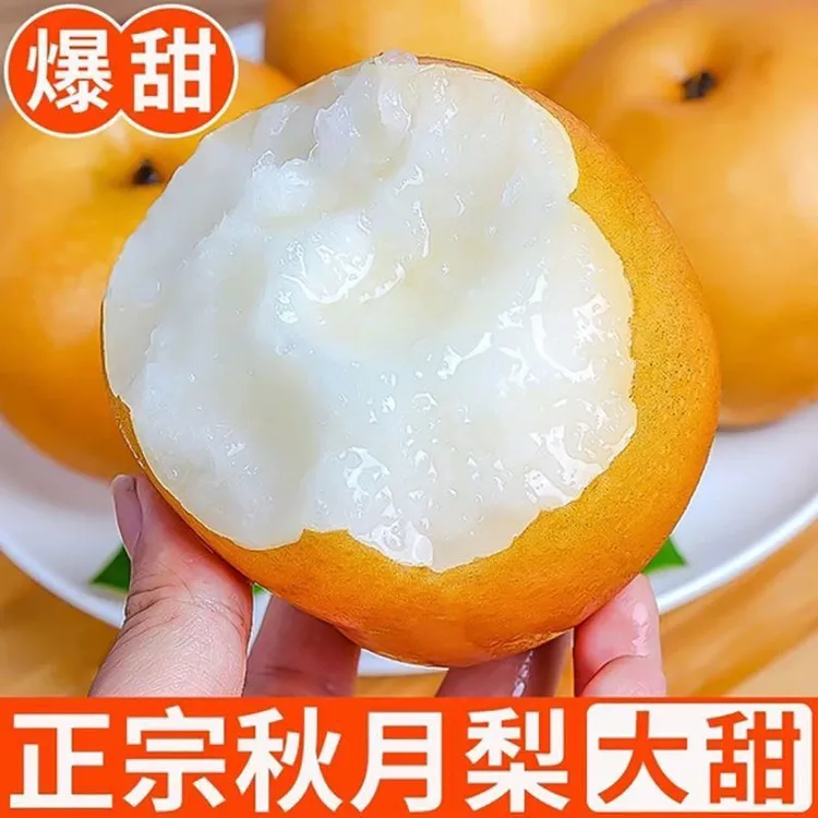 【正宗秋月梨】果园直达 现摘现发