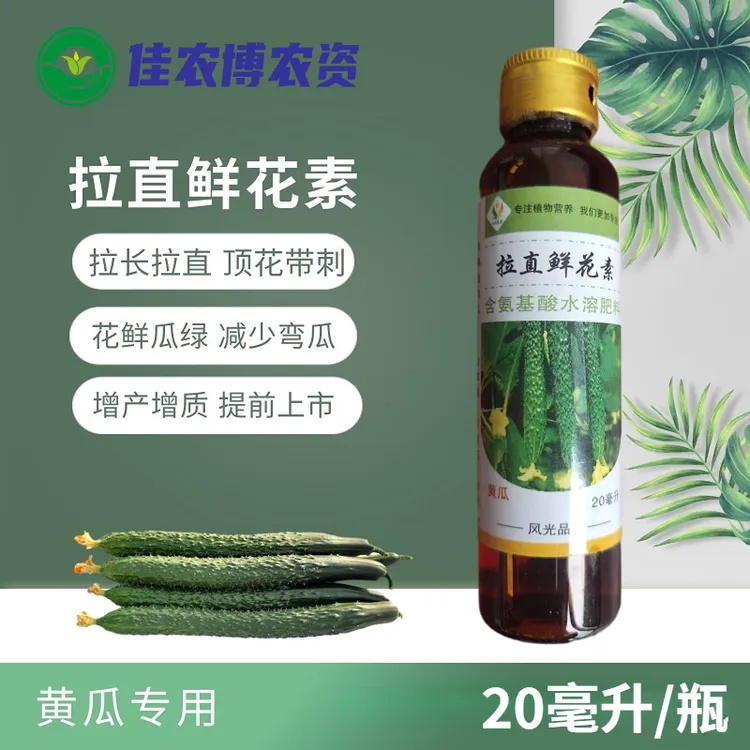 黄瓜拉直鲜花王 拉直拉长素鲜花素 带花瓜条直顶花带刺
