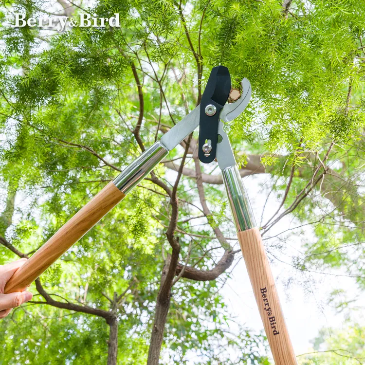Berry&Bird园艺粗枝剪刀修枝果树大力剪刀长柄省力花园林专用工具