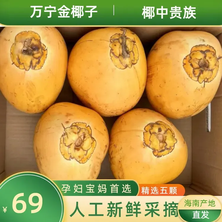 海南原产地黄金椰子新鲜大果清甜椰汁多种营养孕妇宝妈人群必备喝