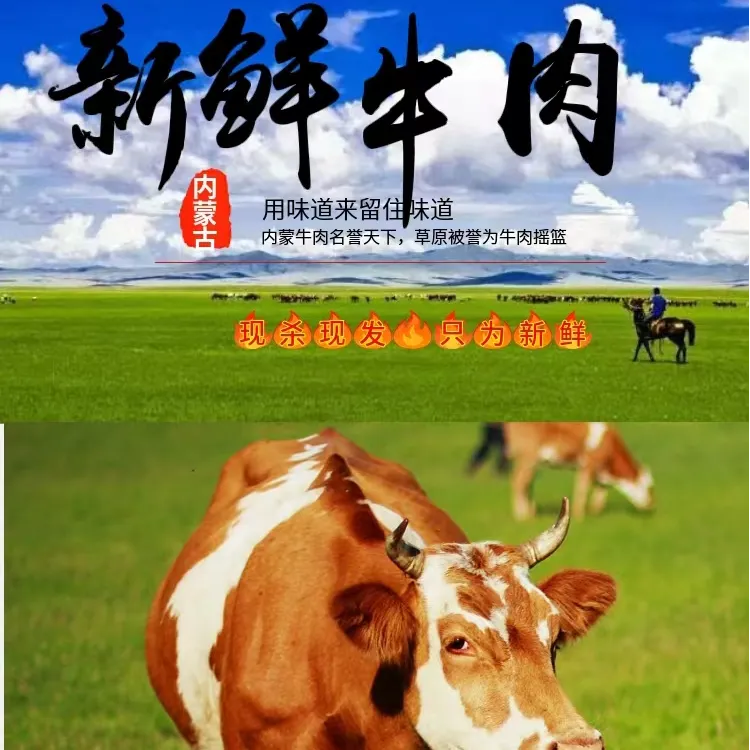内蒙古散养土牛肉冷冻鲜嫩内蒙古原切有机生牛肉黄膘