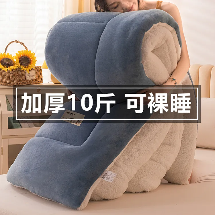 加厚保暖羊羔绒被子被芯雪花绒冬被加绒棉被褥学生单人宿舍春秋被商品图