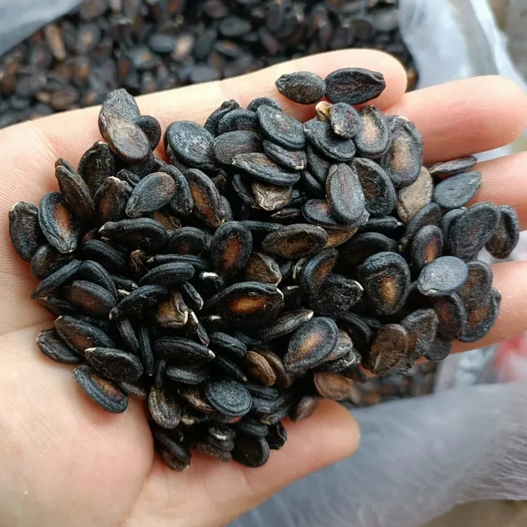 【小小妞推荐】农家自种打瓜子小片西瓜子无添加500g