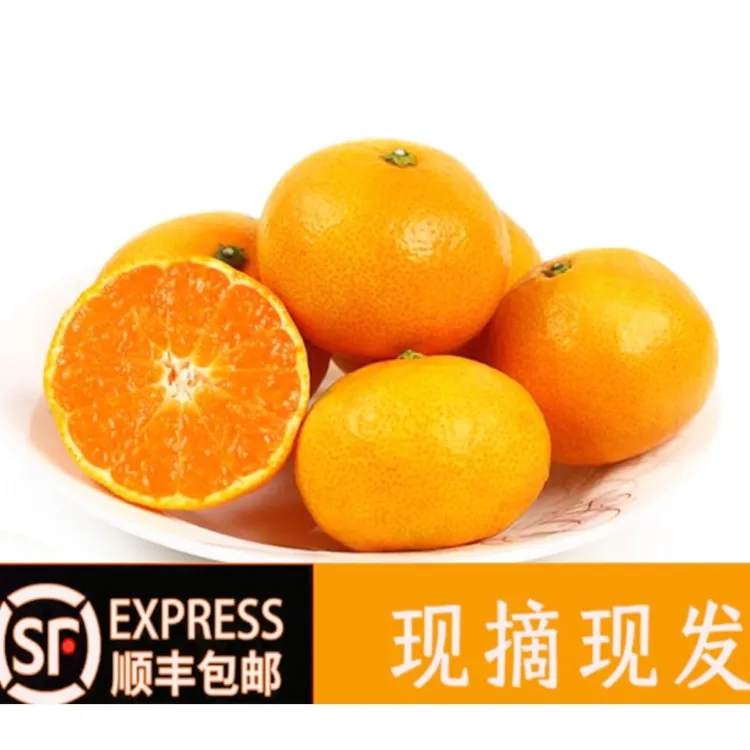 【杨弟弟专属】正宗临海涌泉蜜桔 新鲜采摘高山橘子无核桔子蜜橘