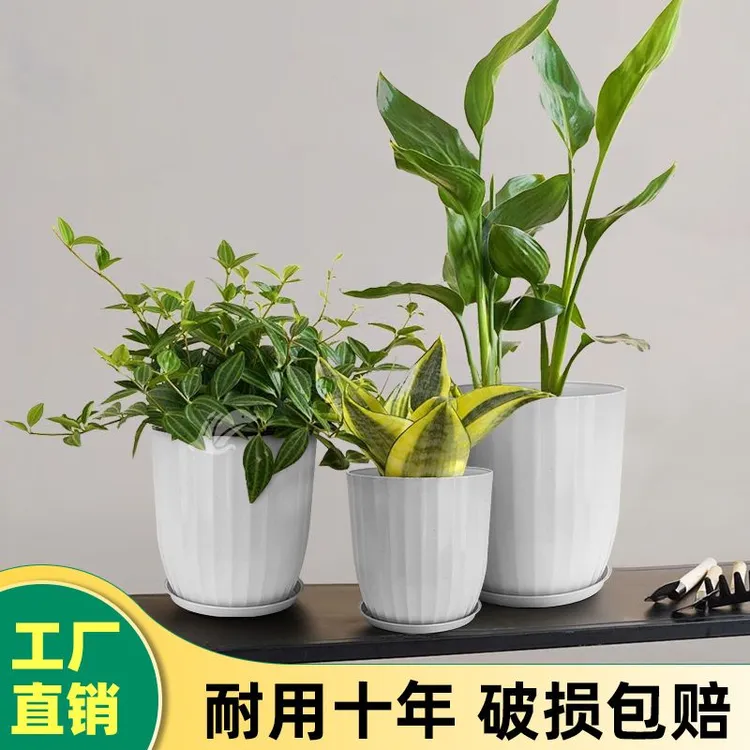 塑料花盆竖纹家用大小号网红简约客厅轻奢现代白色天堂鸟花盆北欧
