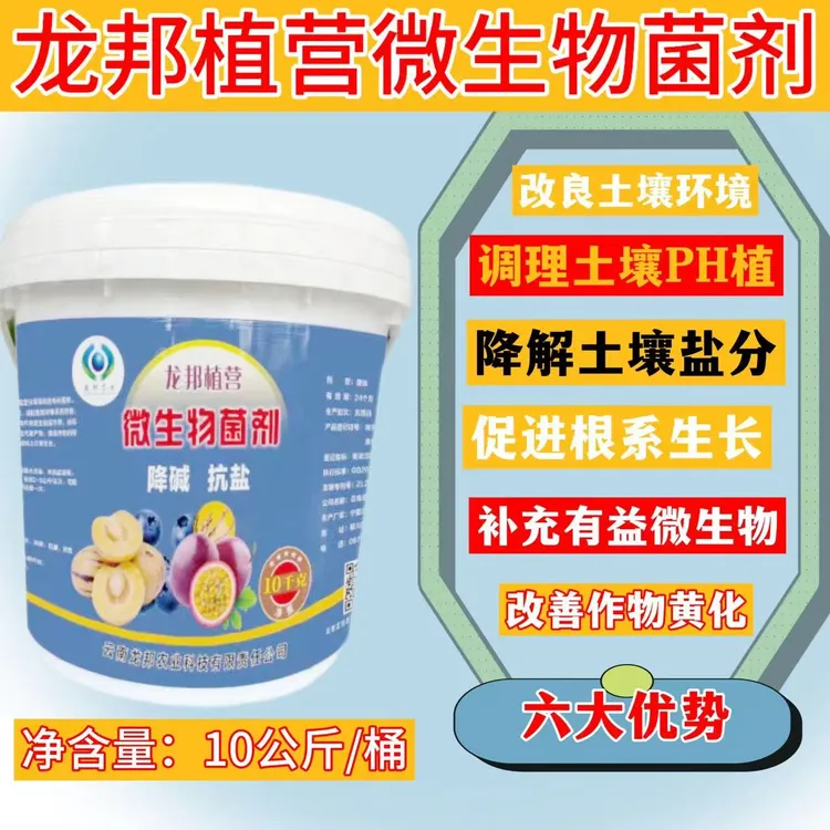 8号龙邦植营微生物菌剂枯草芽孢杆菌黄化肥生根肥菌剂土壤调理