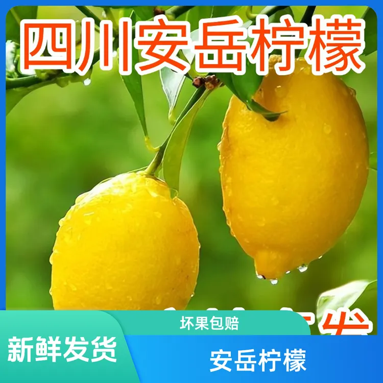 安岳柠檬，柠檬鲜果，产地直发，坏果包赔。