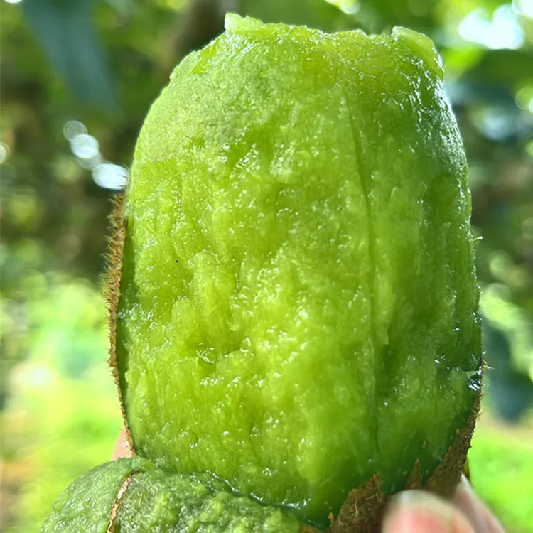 爆甜正宗【翠香猕猴桃】新鲜香甜多汁水果绿心奇异果1-5斤（6-58枚）