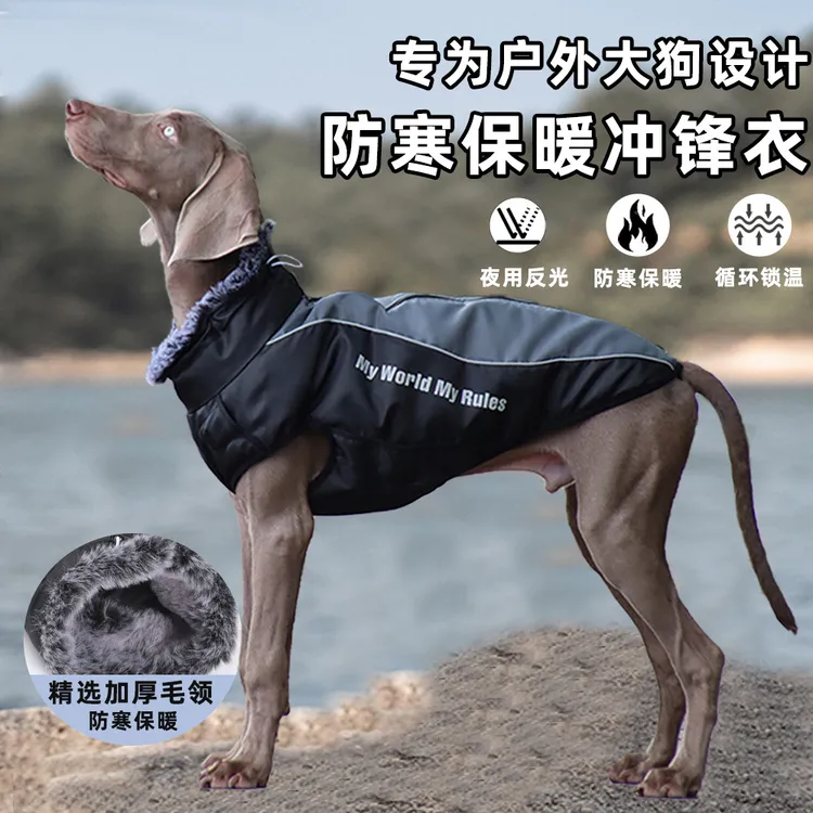 秋冬季中大型犬狗加厚保暖反光棉服宠物户外冲锋衣