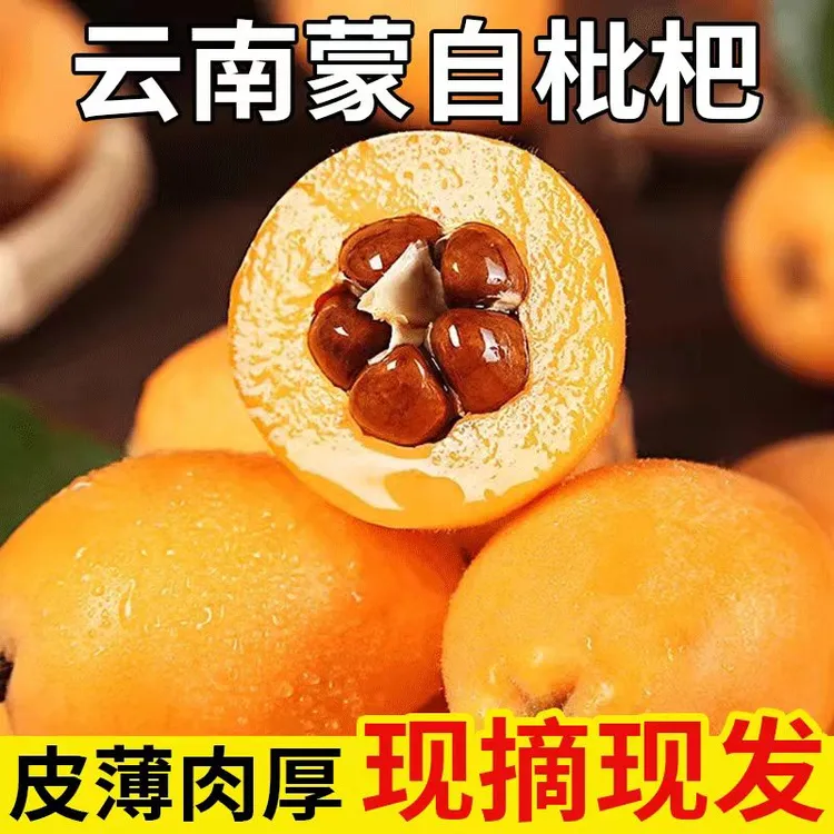 云南高山枇杷新鲜枇杷蒙自枇杷 1-5斤装精美甄选孕妇枇杷现采现发