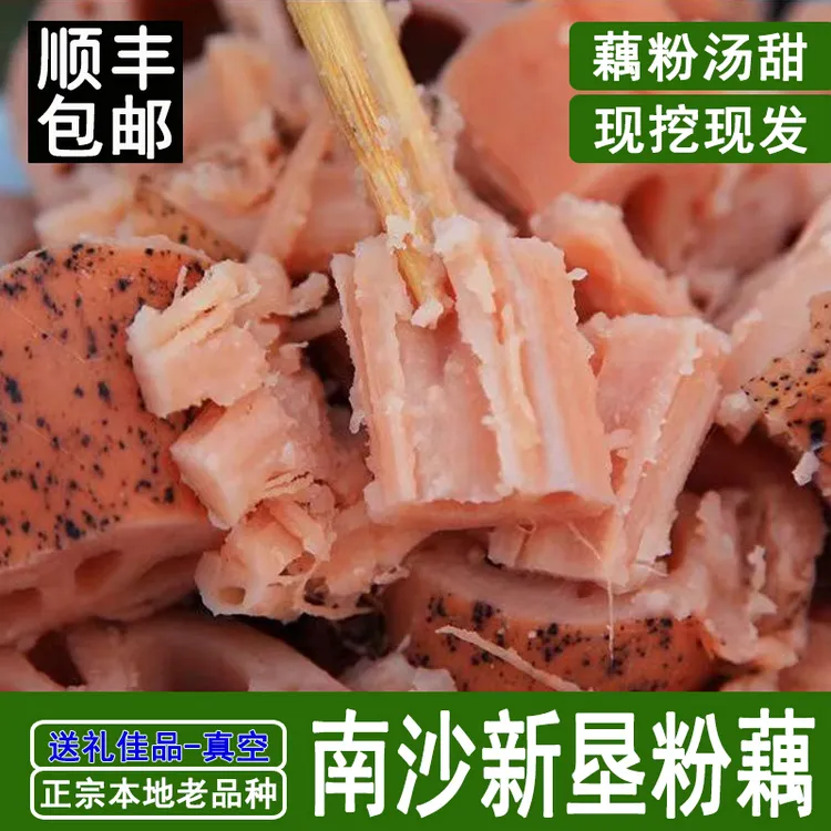 顺丰包邮【当天现挖】正宗新垦粉藕浓郁煲汤莲藕新鲜面藕2-6斤