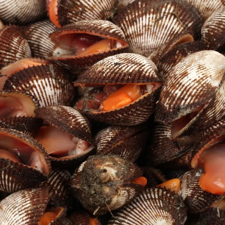 沈阳二平海鲜，跑腿链接，毛蚶子0个，8km内不用补