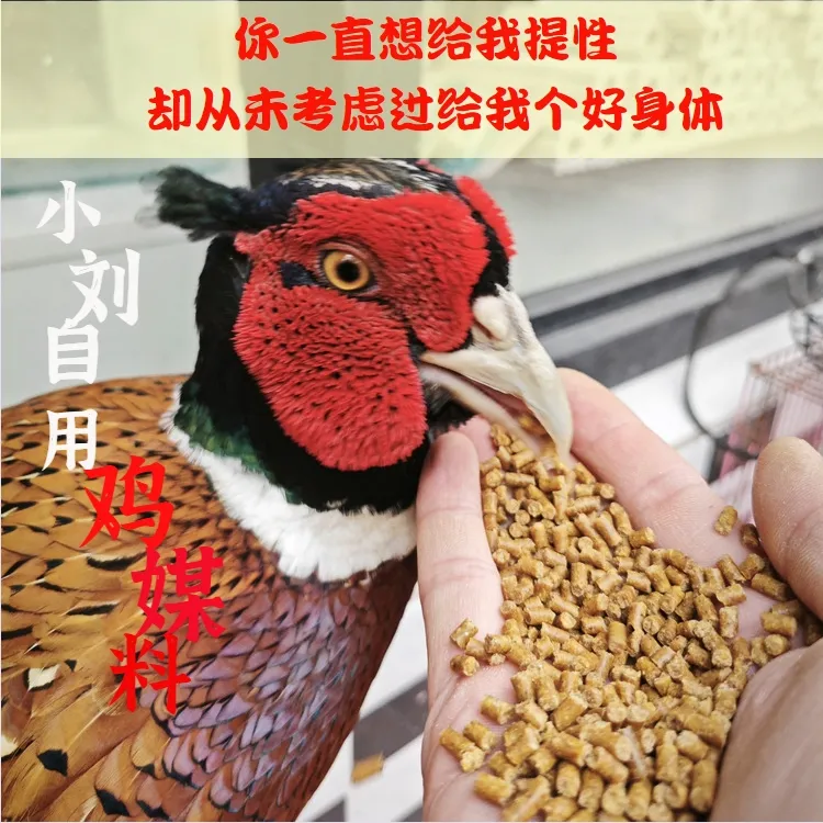 宠物鸡料粮食非神吹提性七彩世外桃园高蛋白高营养亮羽增色斗