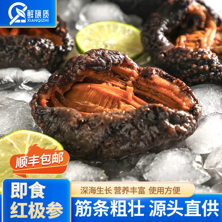 鲜旗质[冰鲜3斤]冷冻即食红极参非辽刺参500g4-6头送参鲍汁贝壳