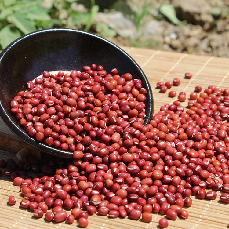 东北农家新红小豆【5斤】