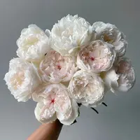 定制精选可爱瓷--稀有单头玫瑰（实物以直播间展示为准）