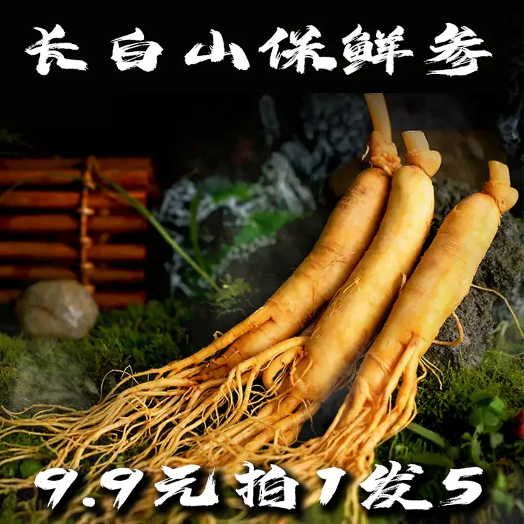 拍1发5【保鲜人参】正品鲜参长白保鲜人参泡酒煲汤东北特产林下