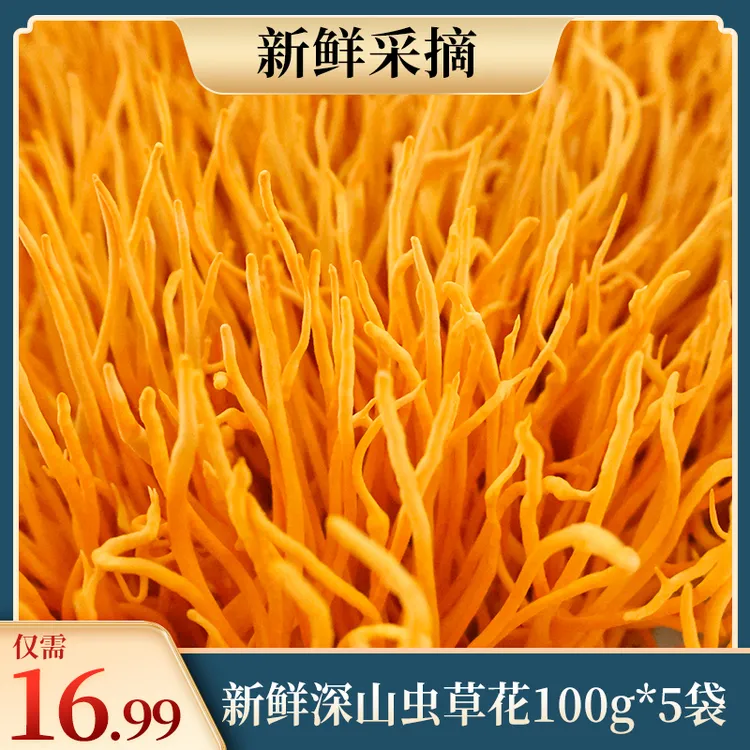 精选新鲜深山虫草花北虫草金虫草煲汤炒肉营养饱满丰富囤货装套装