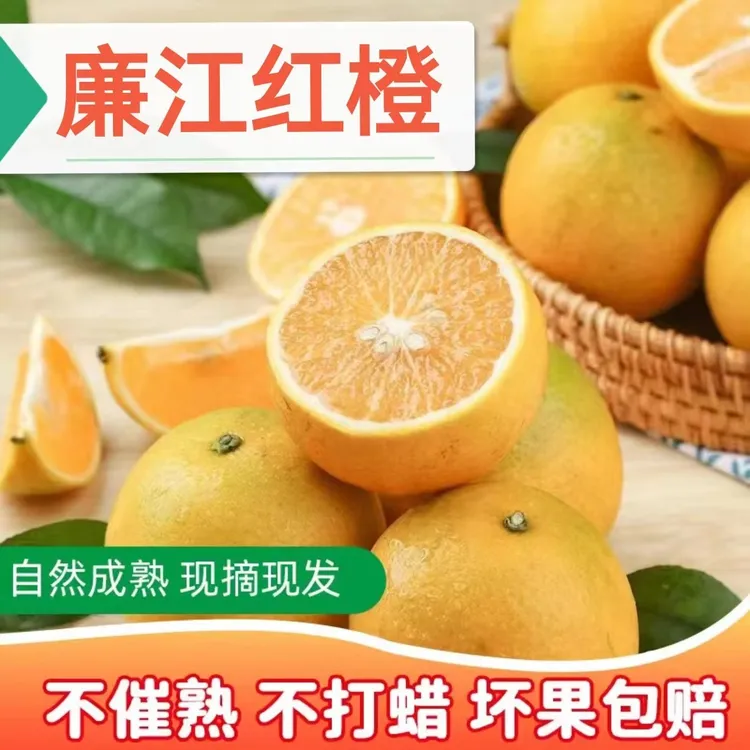 【顺丰快递】广东廉江红橙新鲜采皮薄多产地直发3-9斤装
