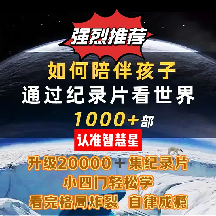 【老师推荐】高分小初高小四门纪录片早教逻辑训练思维教具