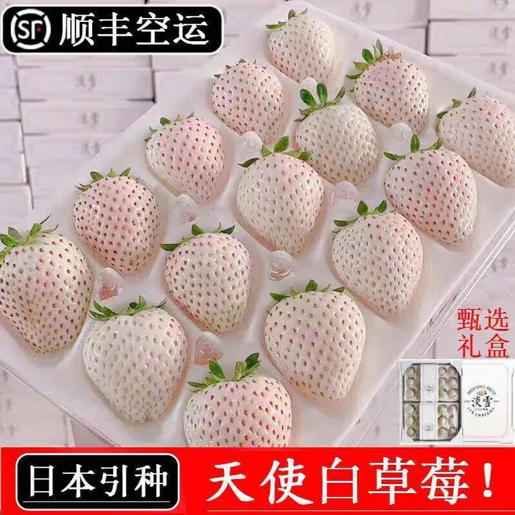 【顺丰空运】淡雪白草莓白雪公主白色奶油草莓新鲜孕妇水果送礼包邮