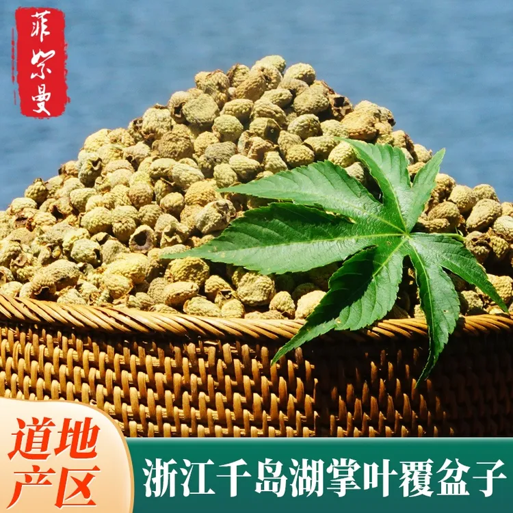 正宗浙江淳安千岛湖高山掌叶覆盆子大果正品道地产区泡水饱满煮水