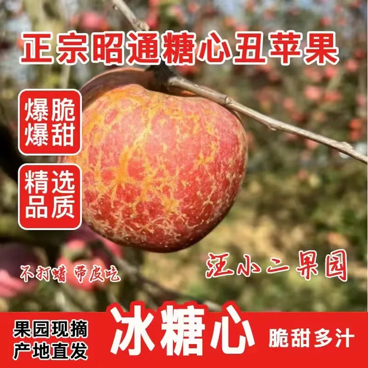 【现摘现发】当季新鲜云南昭通农家原生态冰糖心丑苹果脆甜水果5斤