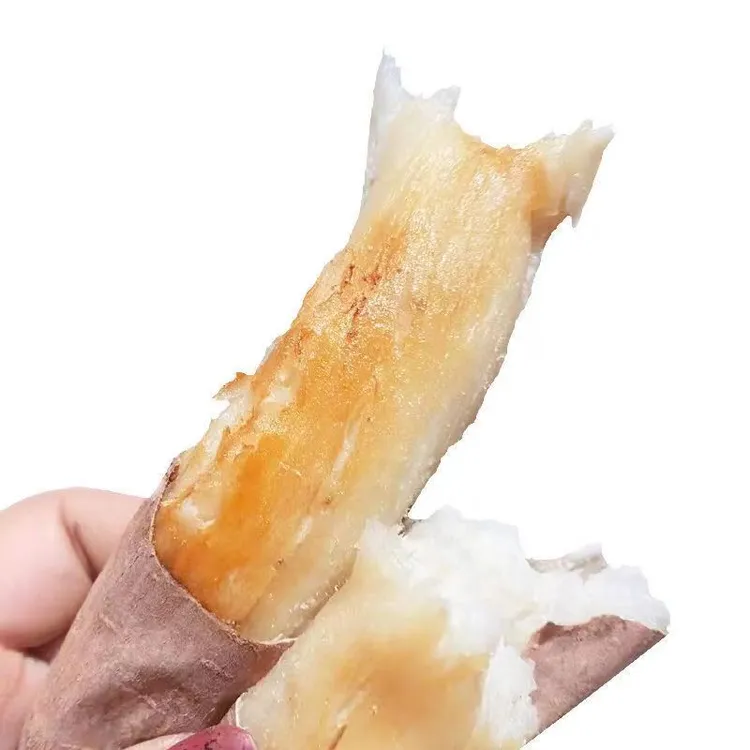 山东哈密冰糖薯超甜新鲜白心糖薯