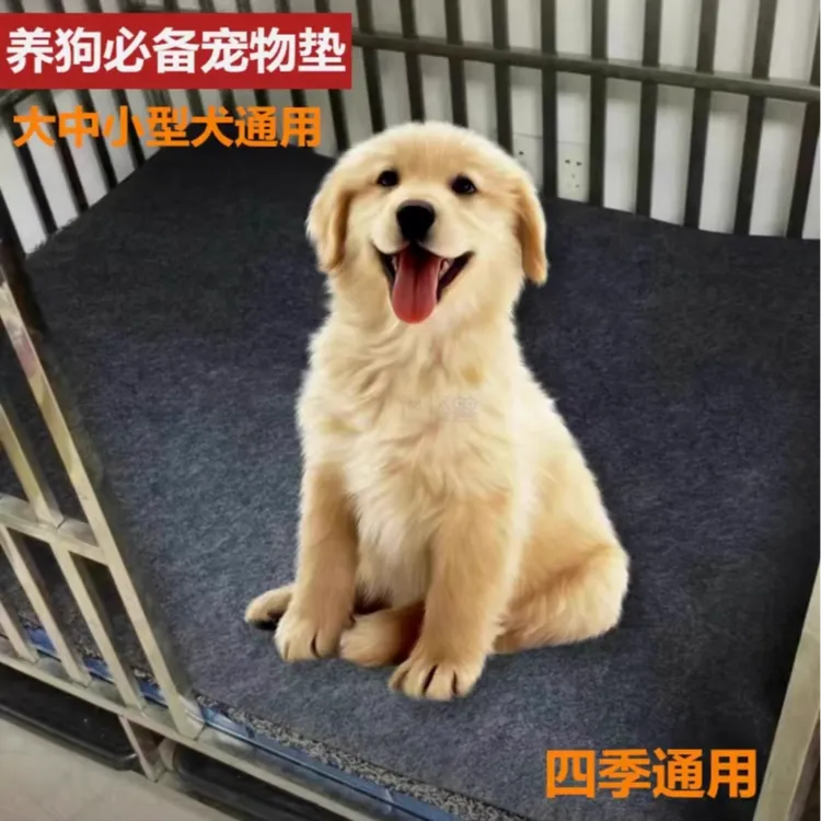 狗垫子加厚保暖防潮隔凉可拆洗宠物地垫大中小型猫犬围栏狗笼子垫