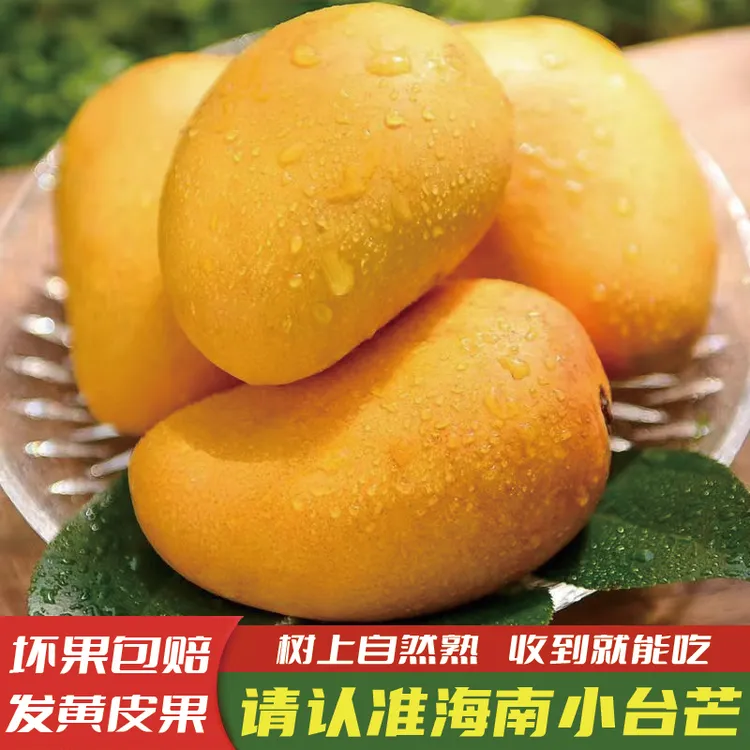 海南小台农芒果3斤5斤9斤新鲜现摘小台芒应当季热带芒果大果香甜