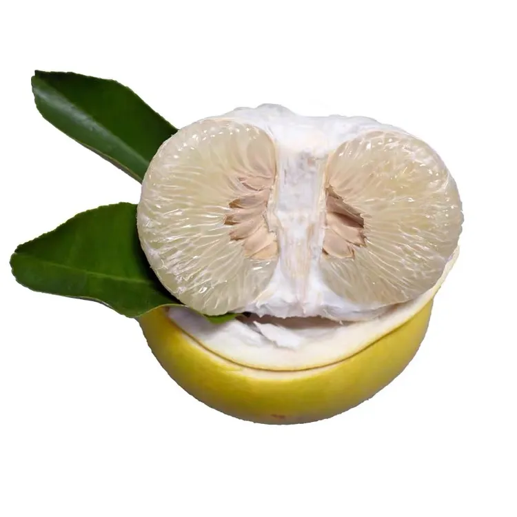 井冈山特产正宗井冈山土柚子冰糖柚孕妇水果井冈蜜柚安福蚕子柚