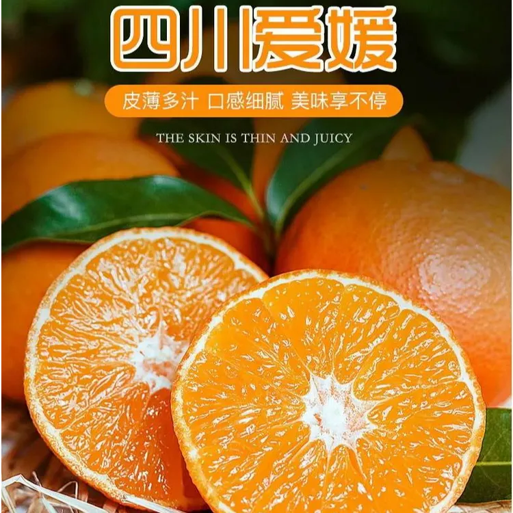 爱媛38号果冻橙四川整箱新鲜当季水果柑橘手剥橙子新鲜果冻橙正品