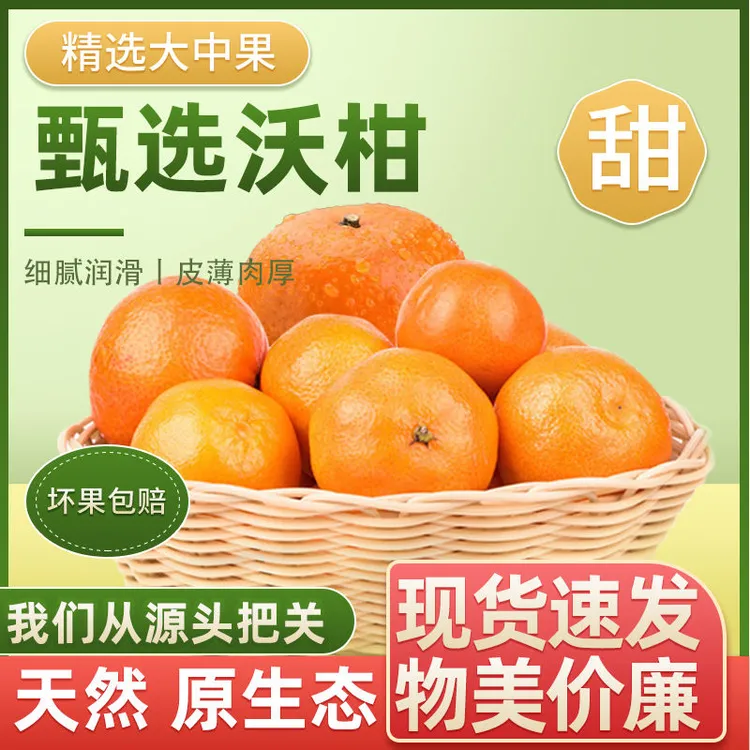 正宗广西武鸣沃柑现摘现发不打蜡香甜多汁新鲜现摘爆汁爆甜5-8斤