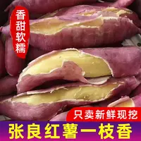 【张良红薯】送货上门现挖现发运城板栗红薯一枝香秦薯5号地瓜包邮
