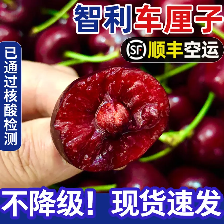 SP【顺丰空运】1斤智利进口车厘子新鲜水果包邮5斤装26mm-32mm