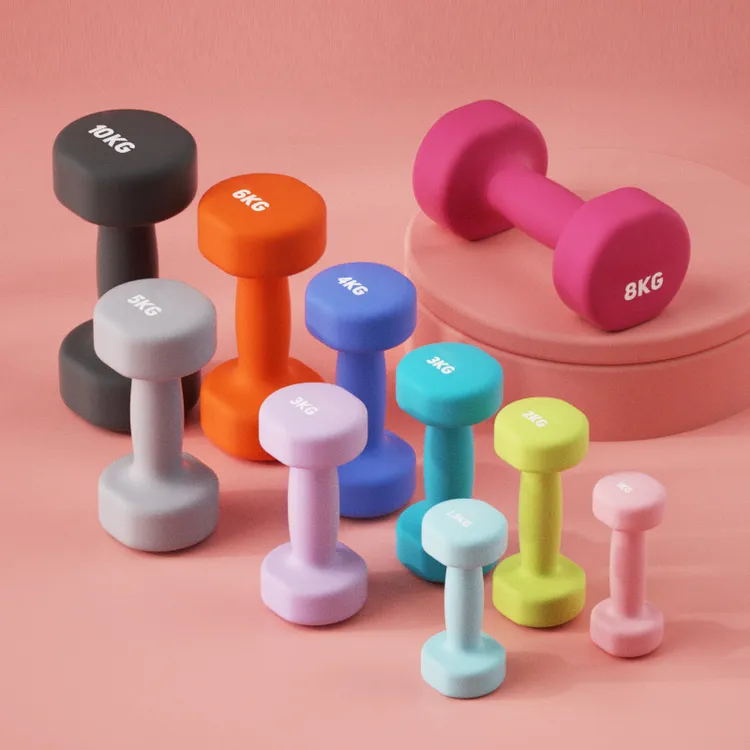 纯铁小哑铃女士健身家用健身器材高能感实心多彩小哑铃锻炼手臂