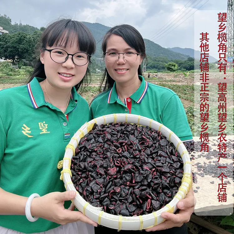 《望乡榄角》2025年淡盐榄角两广风味/半斤装/1斤装/2斤装3斤装包邮