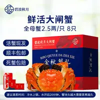 【活蟹】碧波秋月大闸蟹现货 全母蟹活蟹2.5两/只*8只 礼盒包装
