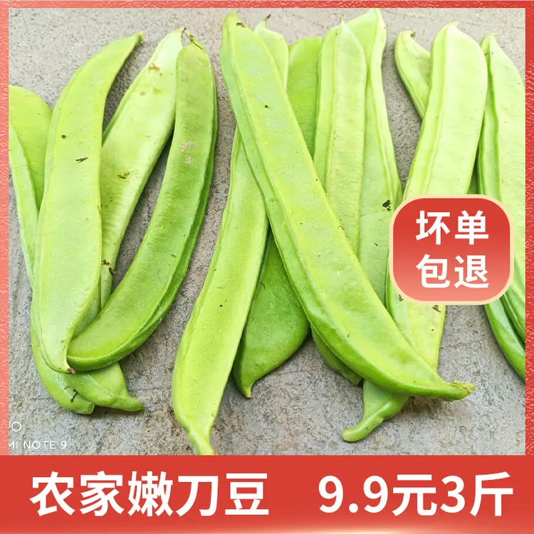 农家新鲜刀豆2斤/3斤/5斤现摘鲜嫩包邮精选腌制扁豆大巴豆当季