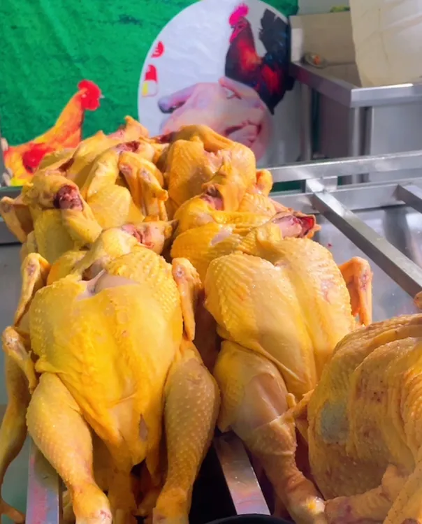 广河清真黄鸡（干拨火撩）大盘鸡专用鸡，清真干净 包冰率1