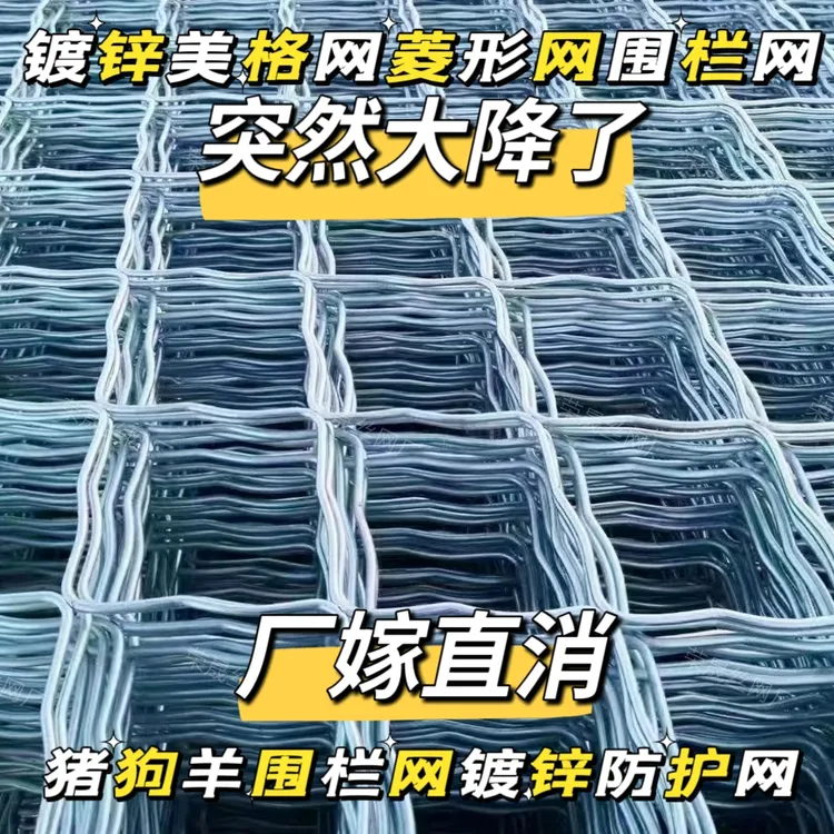 【不看后悔】菱形铁丝网镀锌美格网门窗防盗网羊狗笼网钢丝网围栏网