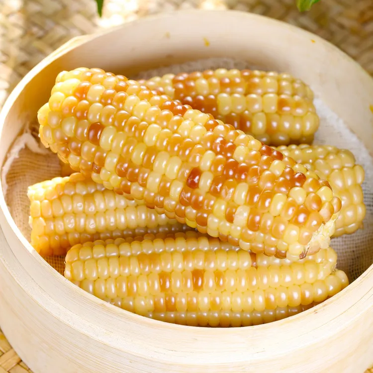 【云南果果】西双版纳老品种香糯小玉米四季种植即热即食早餐
