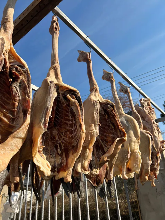 农家散养咸老鹅 约2500克腌制