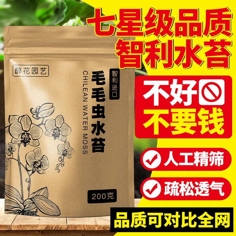 智利水苔蝴蝶兰专用毛毛虫水苔七星干苔藓兰花土植料乌龟冬眠垫材