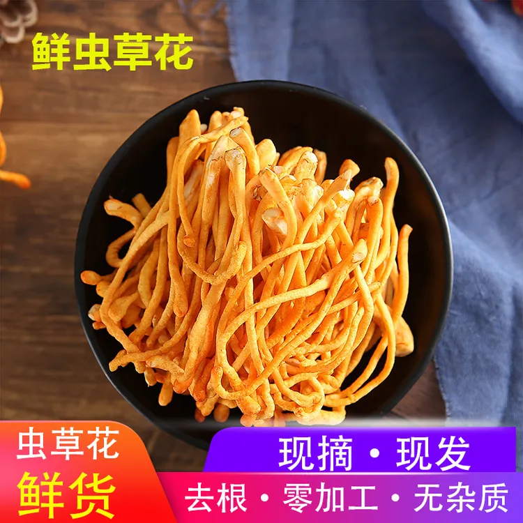 虫草花鲜货鲜湿虫草花金北蛹虫草菇孢子头菌类煲汤食材非干货